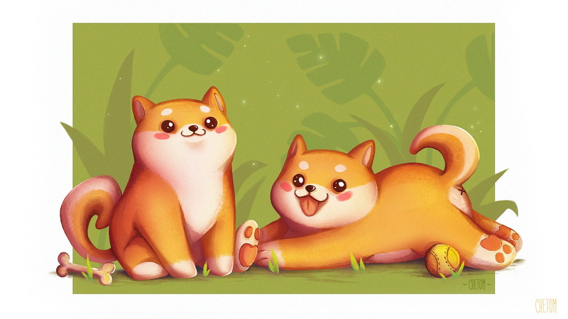 Shiba Inu, Dog, Dogs, Pet, Puppy, Baby Animal, 1080P