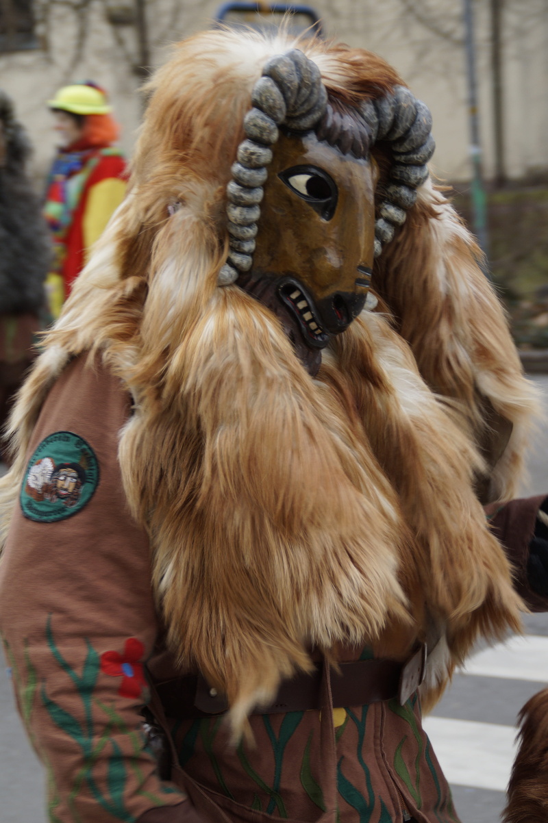 incidental people, dressed up, february, masquerade, vineyard, mask, day, women, costume, carved, horned, figure, mammal, fifth season, horns, carnival parade
