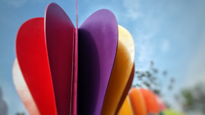 paper, focus on foreground, celebrate, cheerful, purple, park, holidays, 5K, positive emotion, day, valentines day - holiday, balloon, celebration, summer