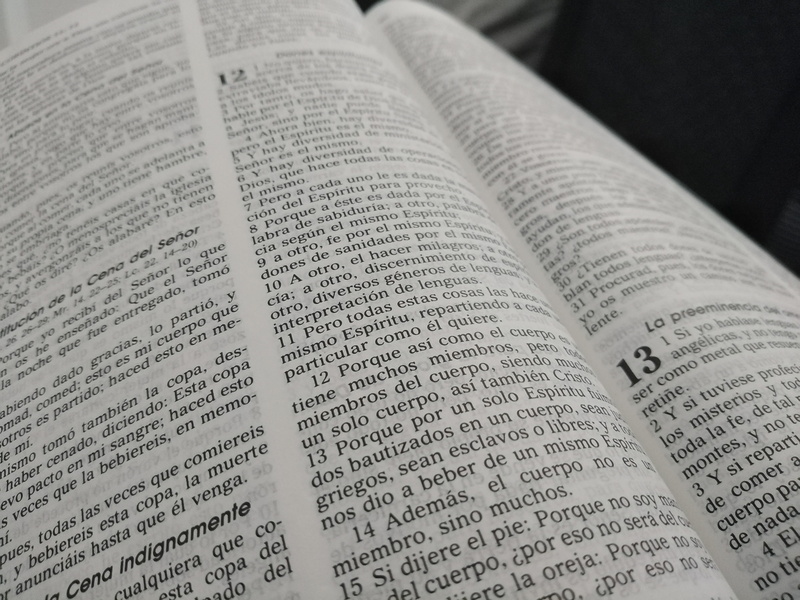 page, easter, indoors, bible, high angle view, studying, paper, still life, script, open, publication, pray, faith, sadness, close-up, cruz, christ, cult