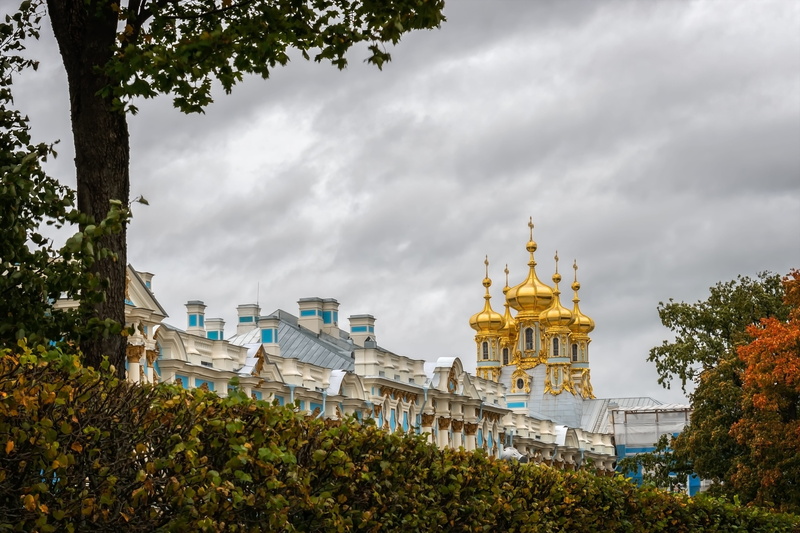 tree, church, sky, plant, orthodox, museum, history, building exterior, no people, growth, dome, low angle view, 5K, city, architecture, religion, spirituality