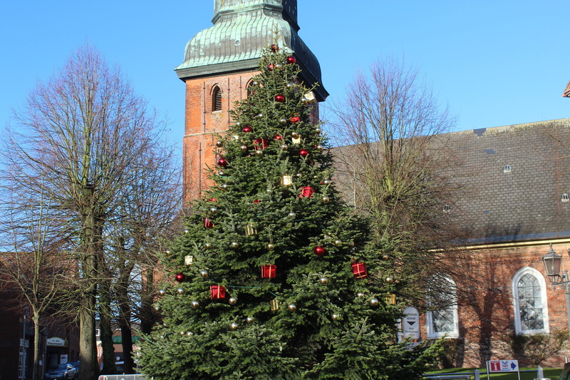 low angle view, decoration, clear sky, christmas decoration, plant, building exterior, celebration, bare tree, sky, weihnachtsbaumschmuck, building, town hall square