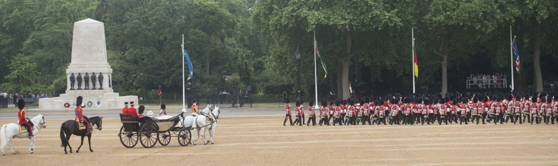 group of animals, group of people, annual, tree, outdoors, horses, england, livestock, soldiers, nature, 1080P, plant, queen, domestic animals, transportation