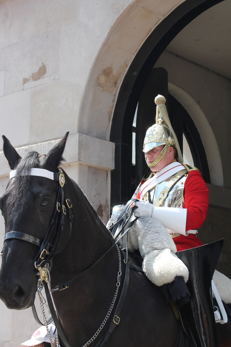 animal, uniform, built structure, animal themes, herbivorous, knight, horse, guard, vertebrate, pets, animal wildlife, mammal, two animals, bridle, day