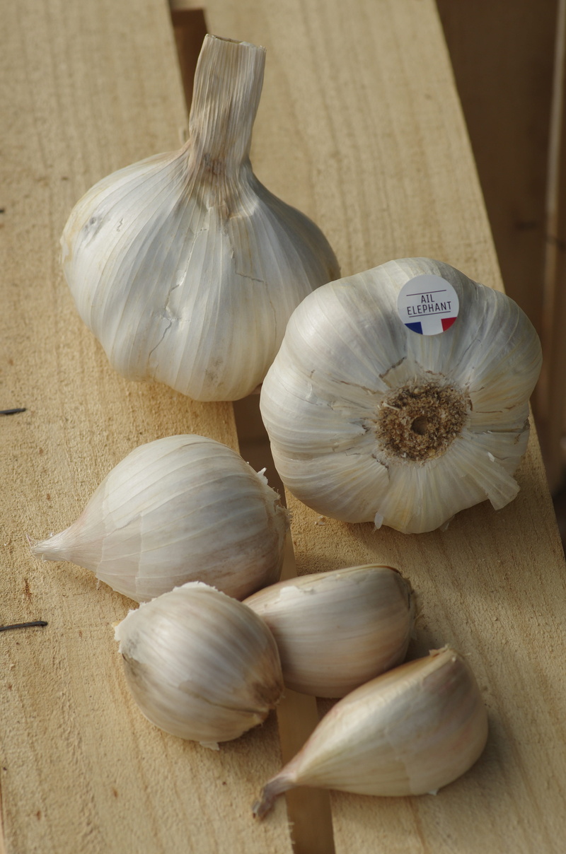 garlic, white color, ingredient, high angle view, rhône alpes, vegetable, indoors, food, garlic clove, onion, wood - material, garlic grown, raw food, garlic elephant