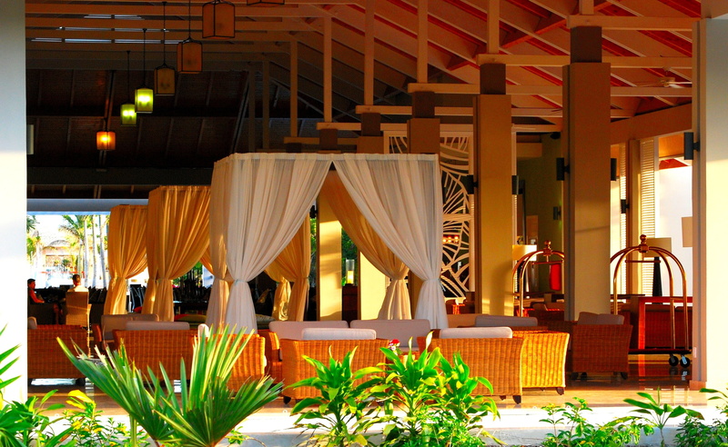 luxury, nature, peaceful, ceiling, 2K, potted plant, calm, building, travel destinations, day, wood - material, plant, indoors, architectural column, illuminated