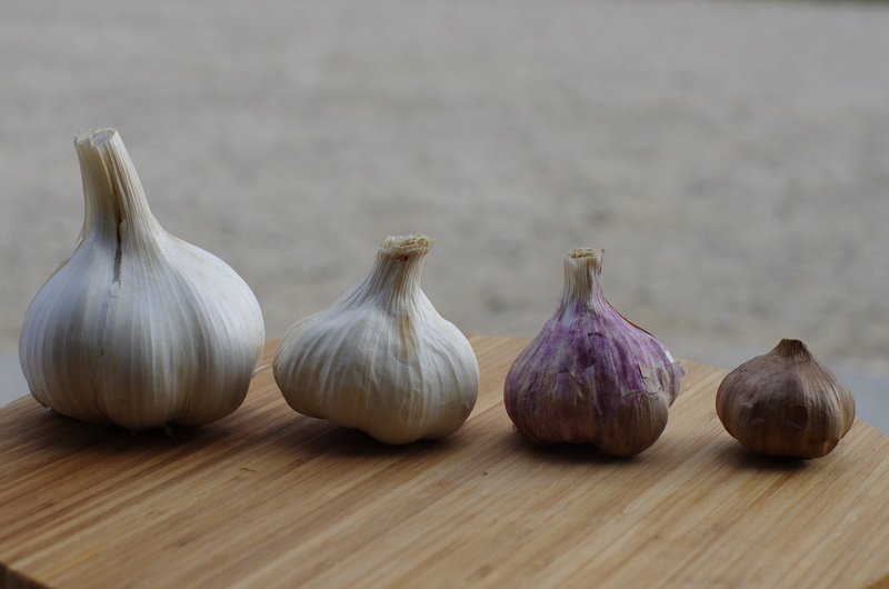 flavors, food, indoors, garlic grown, table, group of objects, food and drink, wood - material, spice, still life, close-up, in good health