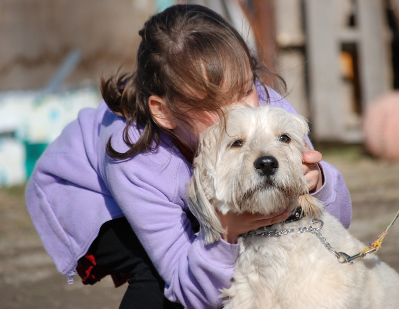 domestic, domestic animals, animal, one person, lifestyles, focus on foreground, mammal, canine, people, pet owner, 2K, only women, Love, Kiss, vertebrate