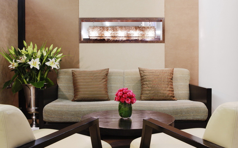 house, flower, brown, decor, room, flower arrangement, home Interior, coffee table, elegance, pillow, home showcase interior, lifestyles, comfortable, base