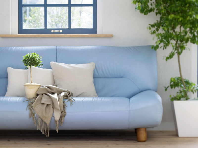 living room, blanket, sofa, fringe, indoors, flower, coffee table, cushion, armchair, green, table, white, chair, home interior, no people, luxury, home showcase interior
