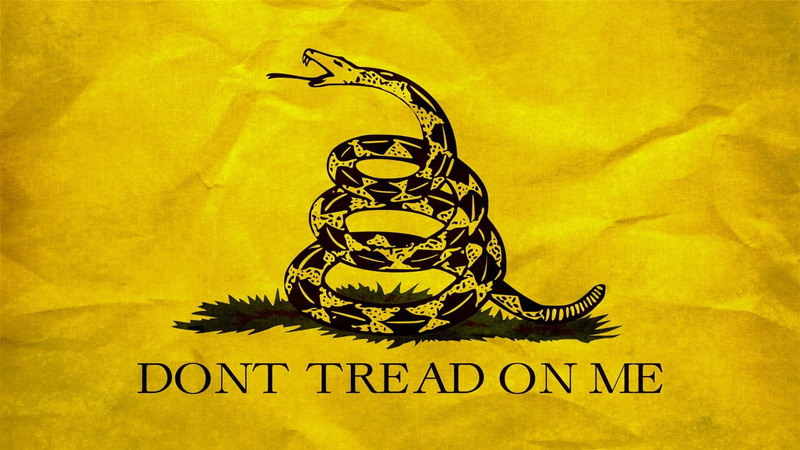 Flags, Gadsden Flag, 1080P