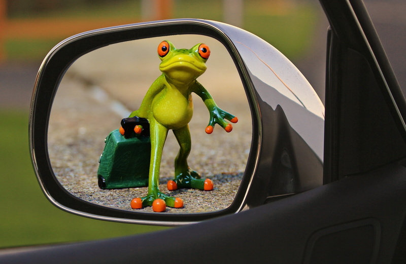 creativity, frog, drive away, indoors, animal, time to go, trolley, art and craft, no people, figurine, sad, mode of transportation, toy, farewell, day