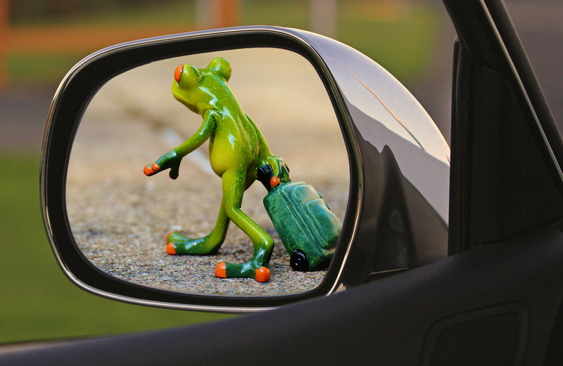 farewell, green color, food and drink, vegetable, food, pepper, luggage, healthy eating, land vehicle, 1080P, frog, trolley, reflection, rear mirror, time to go
