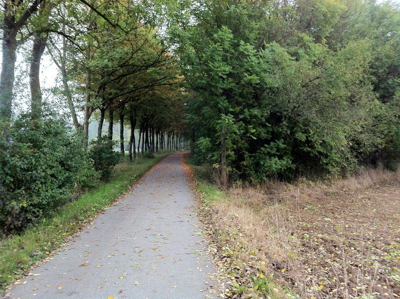 tranquility, asphalt, direction, mood, outdoors, growth, scenics - nature, fall foliage, sad, grass, the way forward, autumn, green, trace, go for a walk