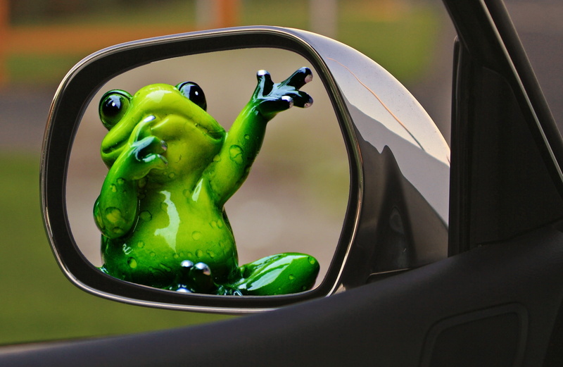 sad, focus on foreground, art and craft, transportation, leave, representation, green color, rear mirror, frog, close-up, toy, no people, day, motor vehicle