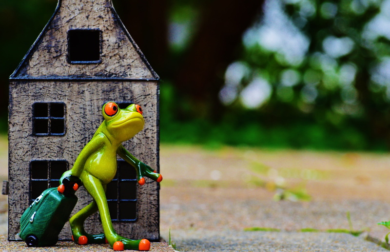 funny, frog, metal, figure, human representation, animal, plant, outdoors, yellow, day, art and craft, architecture, 4K, new beginning, multi colored