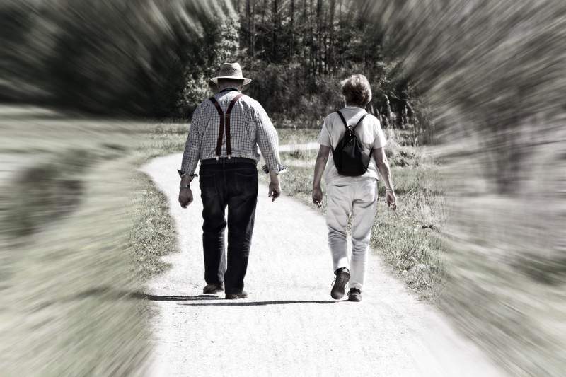 walking, casual clothing, together, bonding, rear view, full length, people, leisure activity, adult, romance, transience, trace, footpath, plant, motion