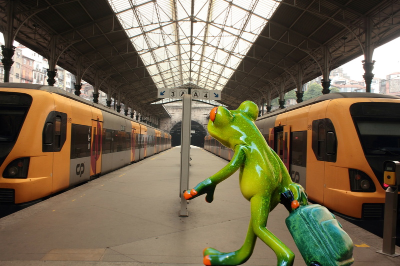 day, built structure, bird, passenger train, new beginning, mode of transportation, transportation, destination, train, railway station, platform, railroad station platform
