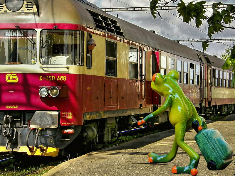 luggage, day, new beginning, rail traffic, outdoors, transportation, building exterior, travel, cute, architecture, track, figure, land vehicle, incidental people