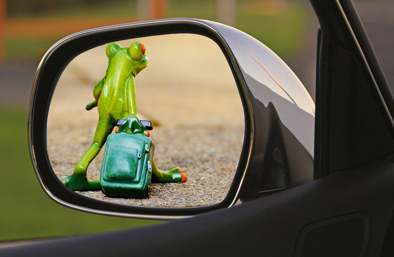 transportation, frog, green color, black color, vehicle mirror, close-up, leave, farewell, outdoors, drive away, funny, travel, reflection, mode of transportation