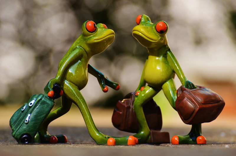 food and drink, fun, food, studio shot, go away, 4K, funny, vegetable, creativity, figure, art and craft, toy, figurine, holiday, still life, representation