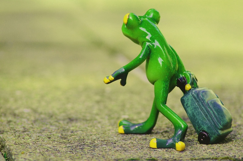 on the go, nature, funny, no people, outdoors, close-up, food, figurine, holdall, travel, farewell, healthy eating, plant, food and drink, fun, go away