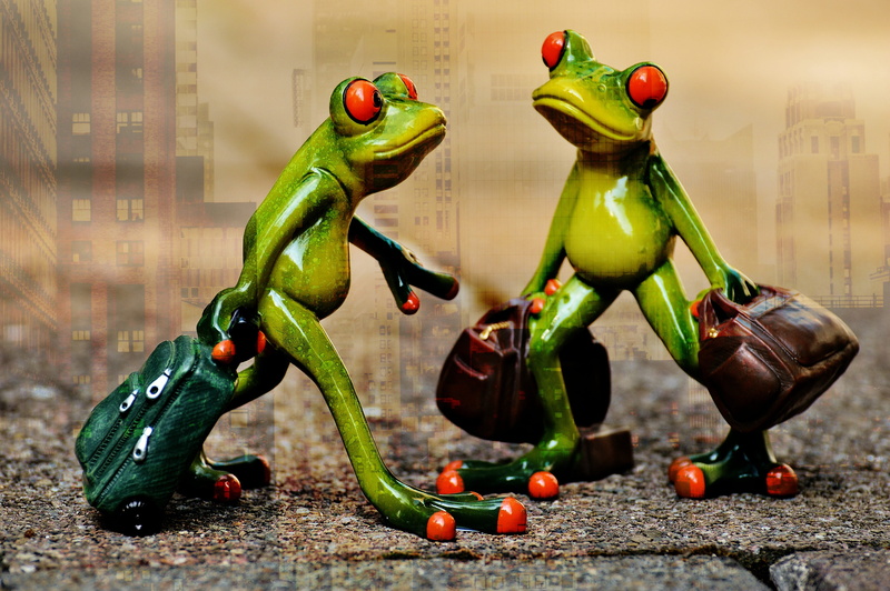 art and craft, representation, on the go, frog, luggage, holdall, fun, food and drink, food, fruit, holiday, wellbeing, no people, close-up, vegetable