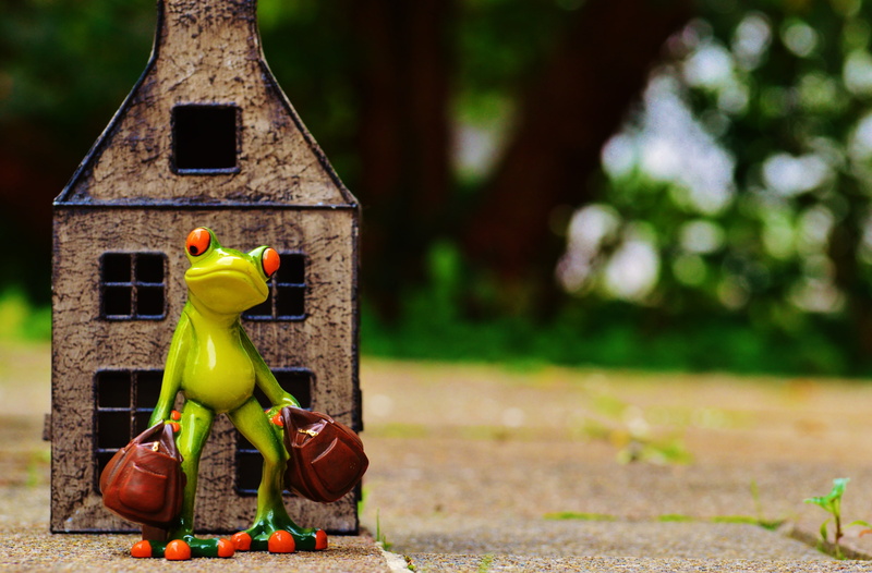 holdall, close-up, go away, sunlight, 4K, toy, time to go, multi colored, day, figure, sweet, funny, frog, food, hanging, humor, outdoors, green color