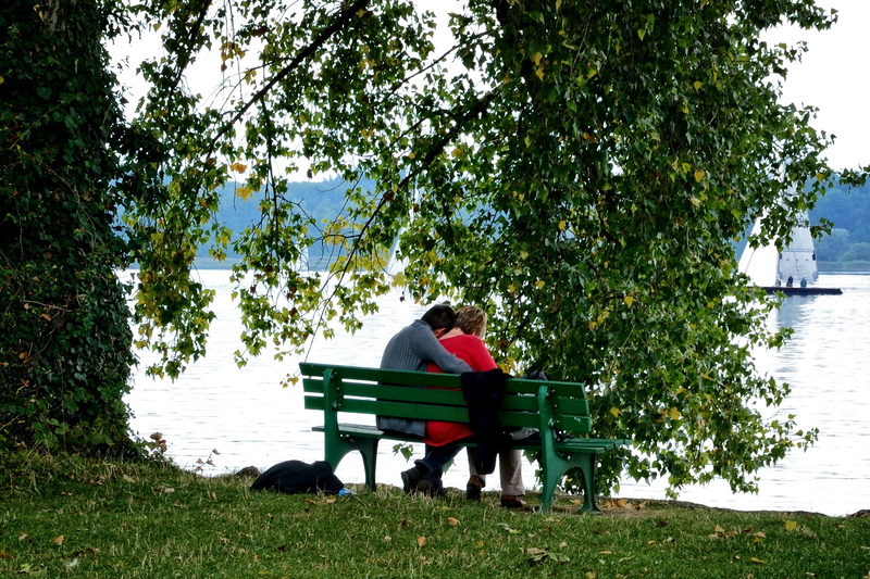love symbol, growth, plant, leisure activity, connectedness, symbol, real people, luck, lovers, rear view, sitting, men, promise, couple - relationship