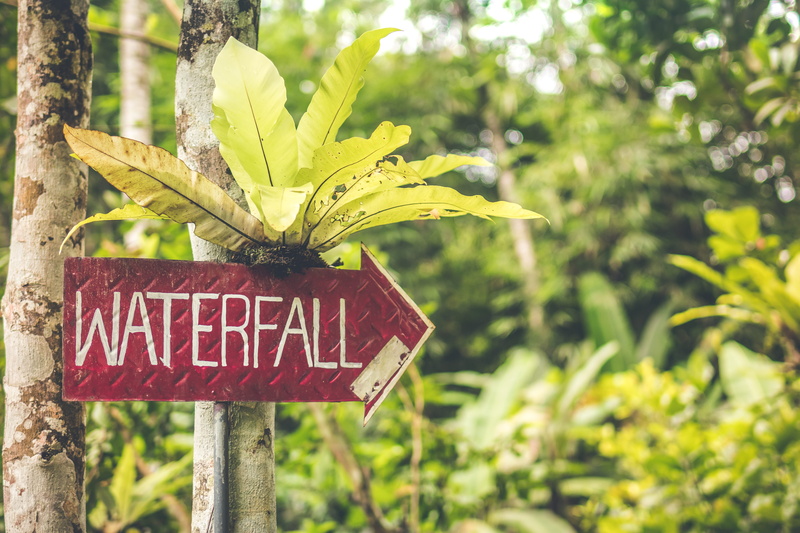 focus on foreground, information, message, waterfall, island, bali, warning sign, text, trunk, growth, guidance, road, no people, red, sign, outdoors, capital letter