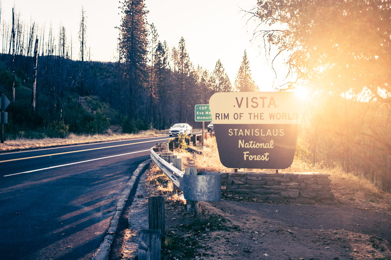 sunset, beside, no people, woodland, nature, road, signage, tree, guidance, 5K, mode of transportation, transportation, bare, communication, text, vista