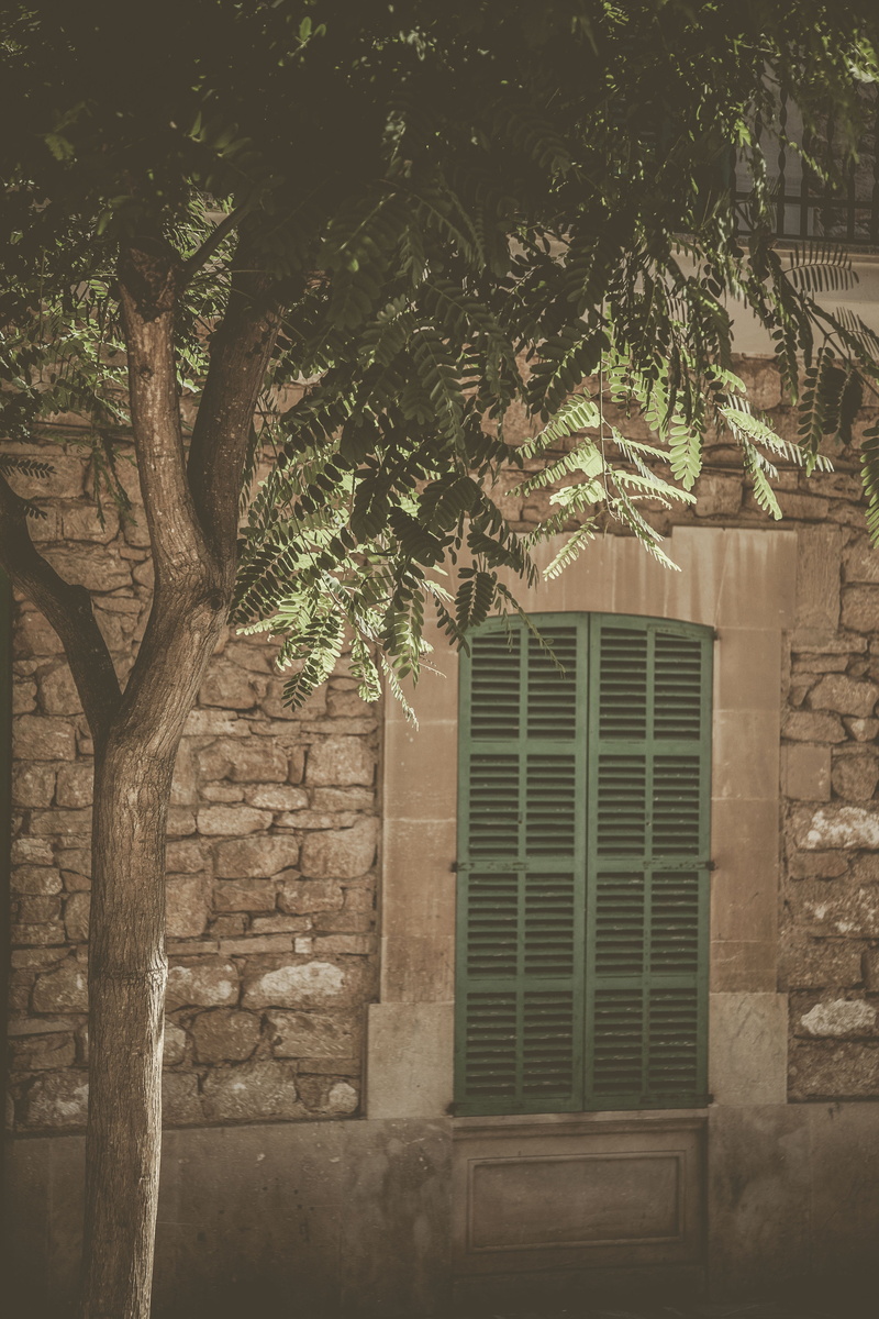 cobblestone, architecture, green, pavement, walkway, plant, house, path, shutter, flagstone, tree, patio, window shade, curtain, branch, building exterior