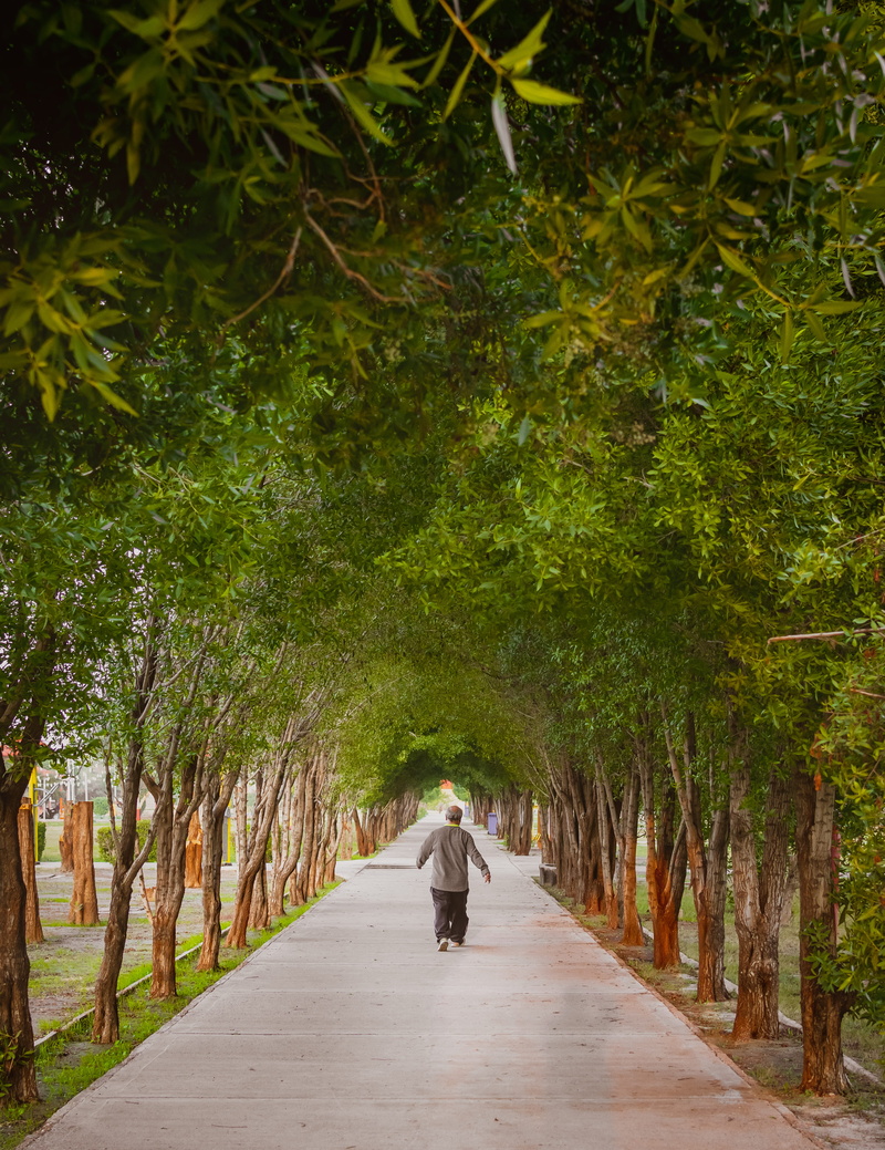 human, man, direction, leisure activity, women, iran, ahvaz, walking, garden, diminishing perspective, men, daytime, day, footpath, tree, lifestyles, dirt road
