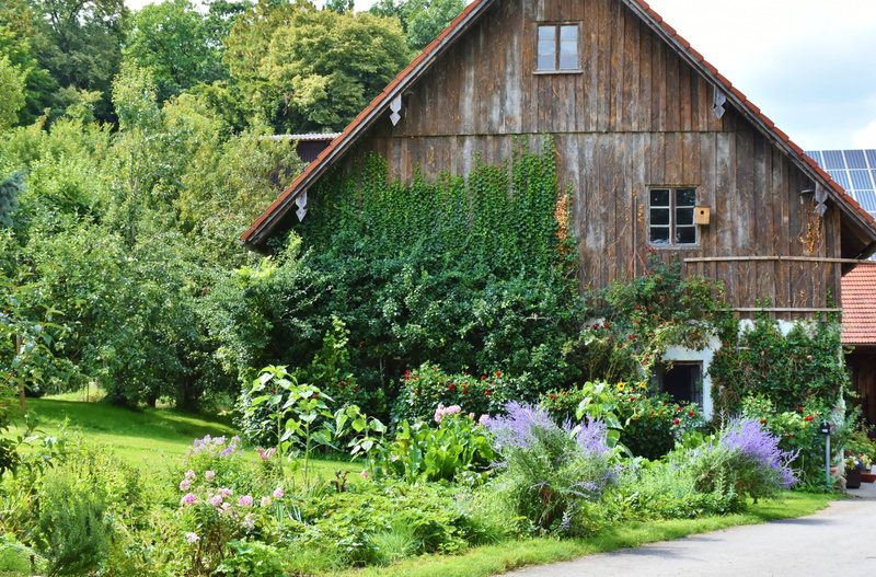 garden, beauty in nature, building exterior, daylight, yard, residential district, plants, land, nature, farmhouse, no people, lawn, windows, growth, flowering plant