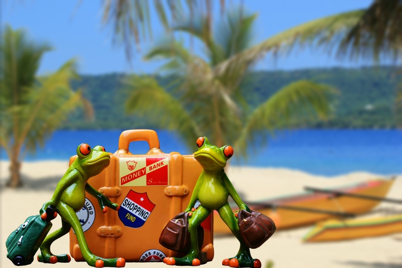 representation, two, travel, male likeness, frogs, human representation, day, outdoors, sunlight, luggage, water, departure, holding, focus on foreground