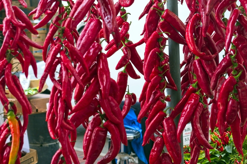 full frame, red, nature, chili, pepper, abundance, vegetable, fresh, raw, close-up, cooking, plant, wisconsin, no people, spicy, growth, capsicum, farm market peppers