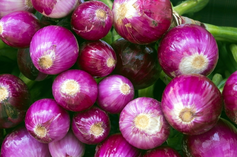 diet, large group of objects, close-up, organic, healthy, raw, retail, food and drink, no people, onion, health, pink color, cook, healthy eating, produce