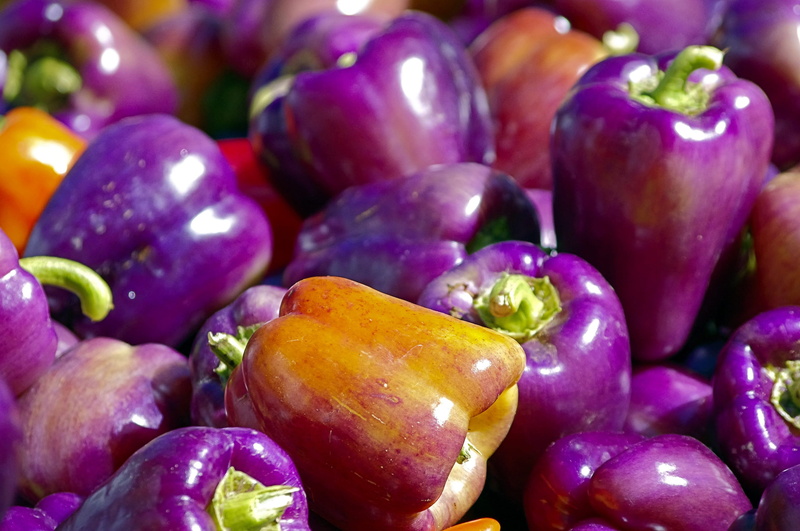 no people, ripe, fresh, vegetables, healthy eating, dane, bell, vegetarian food, food and drink, large group of objects, eggplant, madison, county, choice