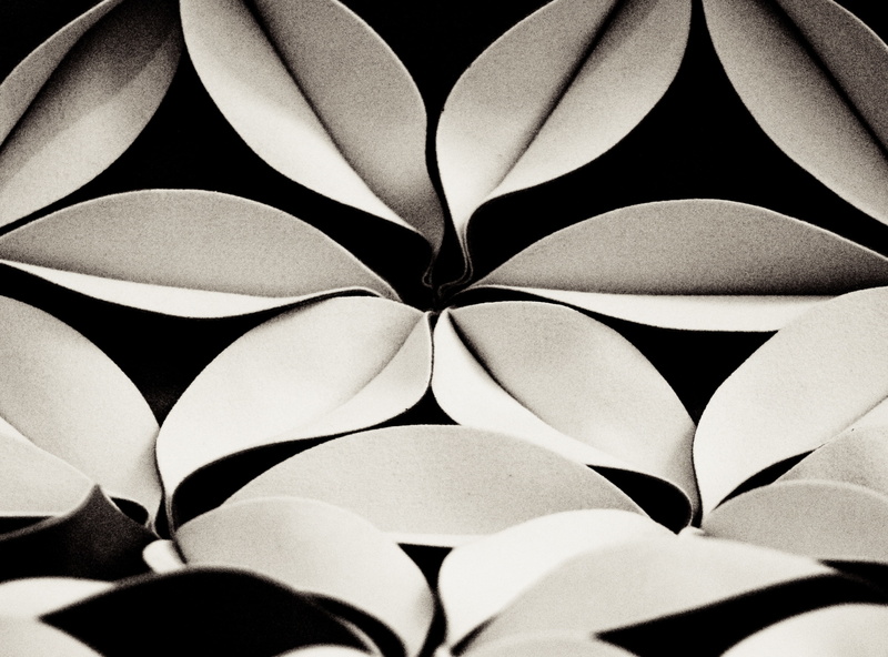 Sepia, close-up, Chicago Art Institute, paper, leaf, illinois, pattern, plant part, still life, second, 111 South Michigan Avenue, black color, Chicago