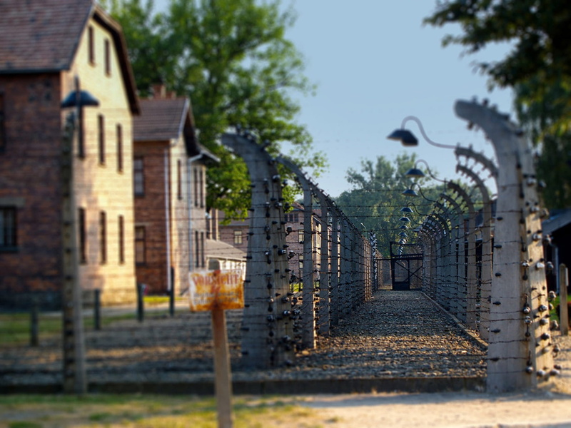gate, 1080P, tree, residential district, photography, selective focus, sky, concentration camp, plant, day, building exterior, focus, grid, footpath, built structure