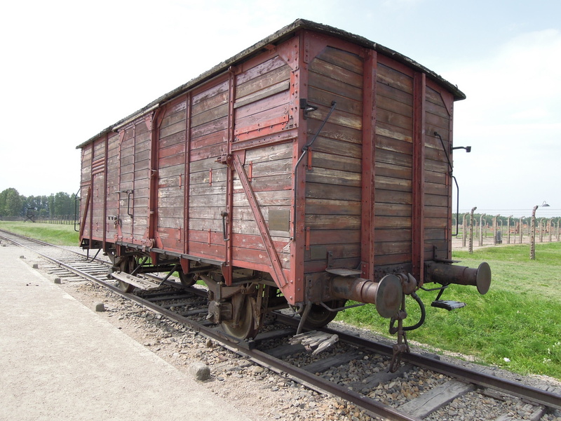 world war, metal, freight transportation, Jewish, railway wagon, carriage, train, old building, railroad track, Birkenau, rail, nature, freight train, house