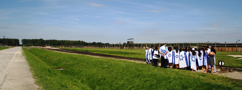cloud - sky, males, birkenau, death, poland, field, religion, group of people, real people, men, concentration, jews, women, day, sky, auschwitz, crowd