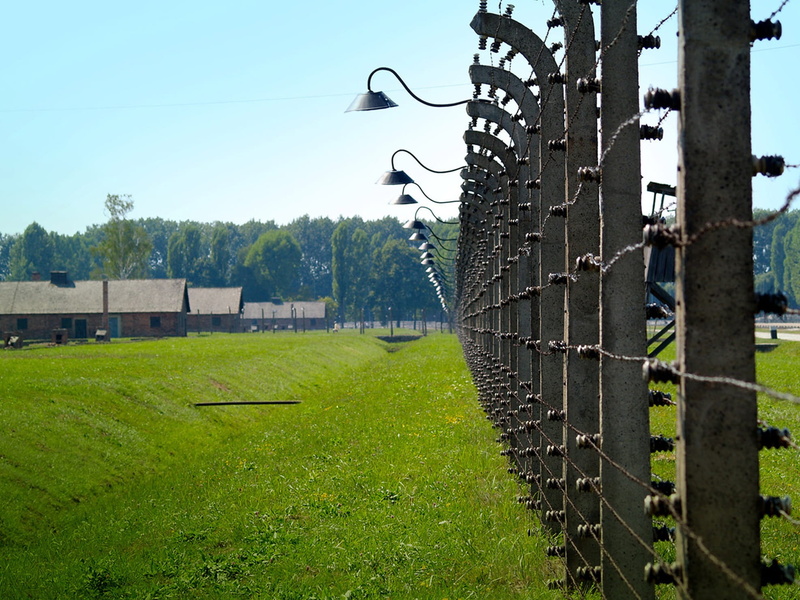 sunlight, land, barbed fence, day, fence, sky, landscape, tree, prison, architecture, grass, concentration camp, nature, plant, outdoors, boundary, green color