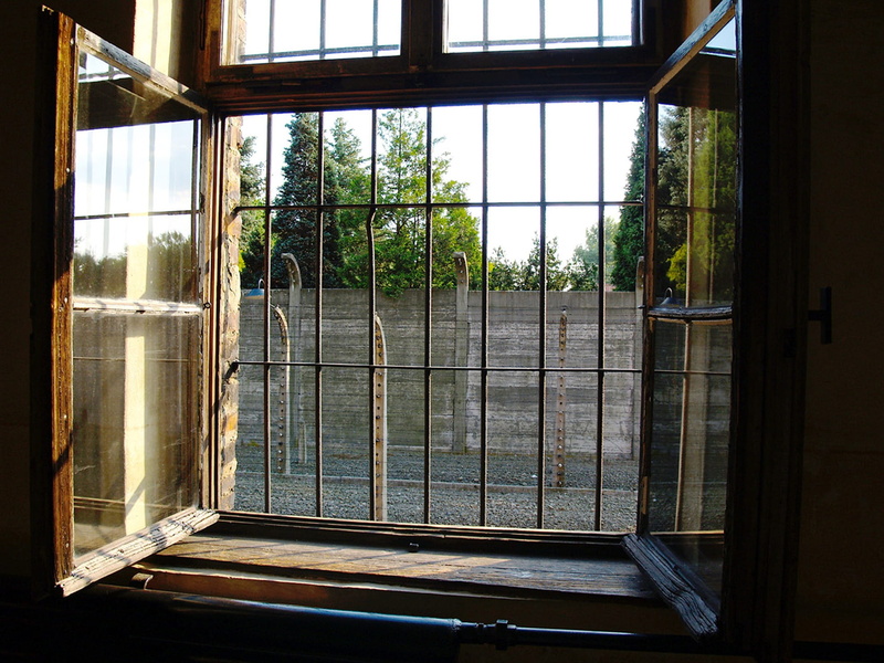 nature, glass - material, grid, plant, door, house, safety, built structure, day, concentration camp, auschvitz - birkenau, sunlight, metal, indoors, window frame