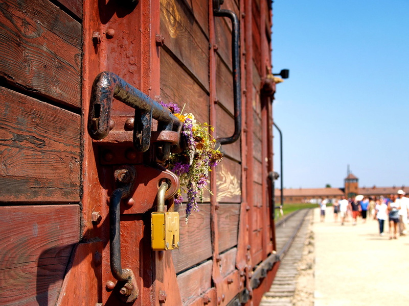 prison, 1080P, flowering plant, incidental people, auschvitz - birkenau, sunlight, metal, outdoors, train, old, concentration camp, built structure, sky
