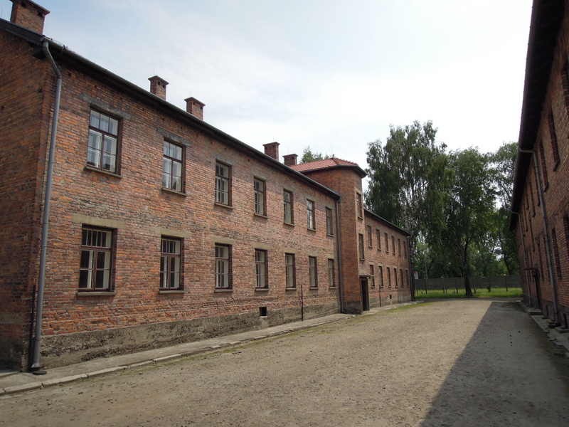 street, city, old, row house, tree, old building, polish, 2K, day, no people, concentration camp, jewish, the way forward, road, nature, world war, residential district