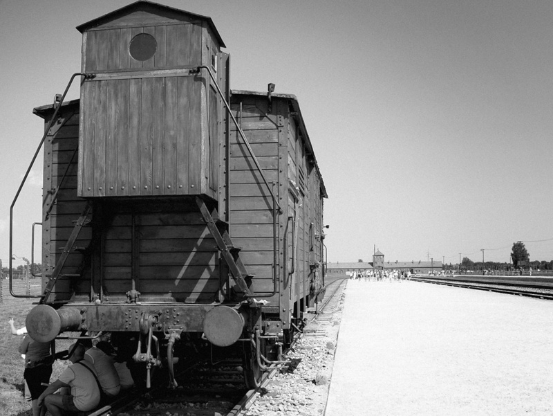 1080P, railroad Track, water, outdoors, mode of transportation, building exterior, old-fashioned, auschvitz, black And White, railway wagon, Train, land