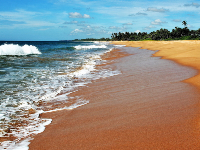 horizontal, orange, at the court of, tree, sea foam, nature, idyllic, horizon over water, cloud - sky, water, the waves, relax, the tropical, beauty, clouds