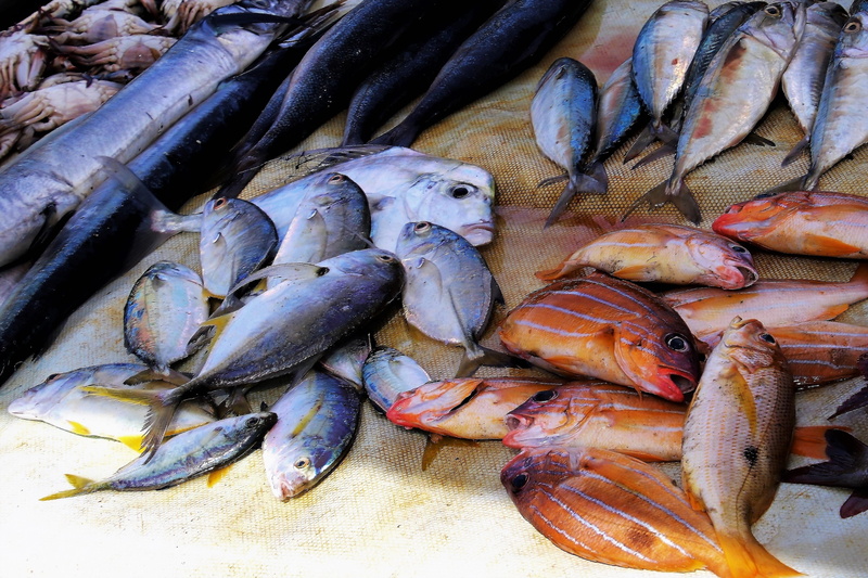 retail display, still life, boiling hot, 4K, sale, the freshness, choice, bazaar, seafood, a fishing village, abundance, booth, food and drink, travel