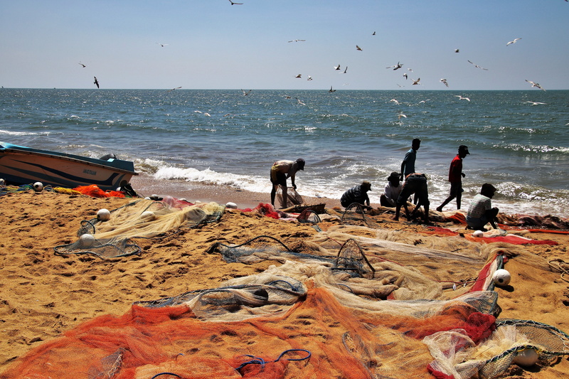 vertebrate, fisherman, sand, sandy, network, traffic, outdoors, scenery, color, landscape, the person, sky, group, 5K, the seagulls, sri lanka, holidays